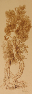 Vibrazioni - cm 30x83